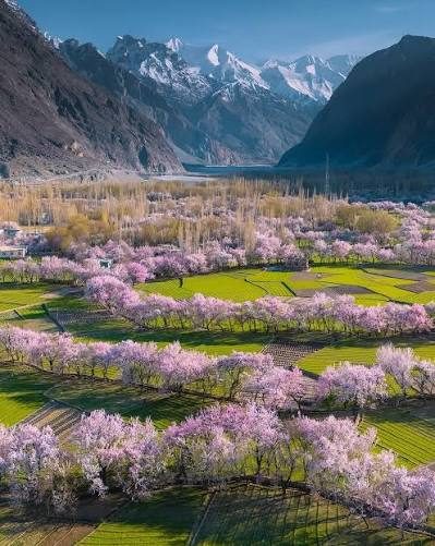 Spring in Hunza