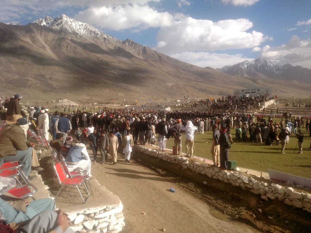 Traditional Polo Match